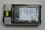 HP (Hewlett-Packard) 350964-B22 300GB Hard Drive 